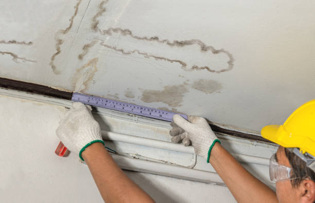 Reliable Burst Pipe Cleanup contractor in Greeley, KS by Water Damage Irwin